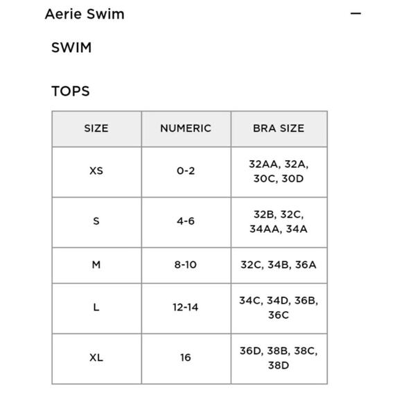 Aerie Bikini Striped Metallic Trim Push-up Top 36A Side Tie Bottom Large NWT - Picture 13 of 14